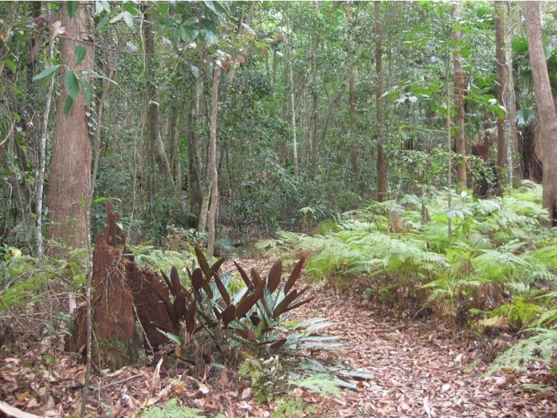 Tanawha QLD 4556