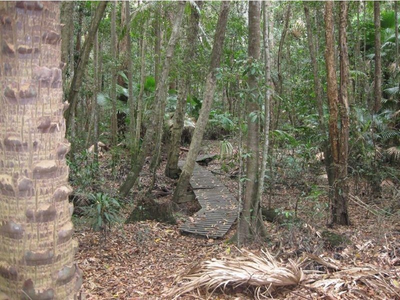 Tanawha QLD 4556