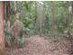 Tanawha QLD 4556