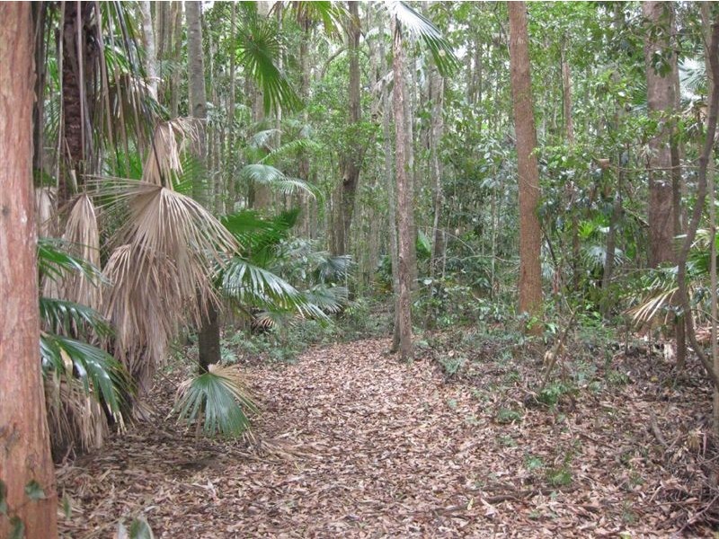 Tanawha QLD 4556