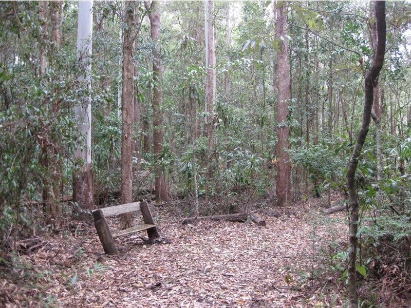 Tanawha QLD 4556