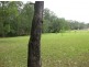 Tanawha QLD 4556