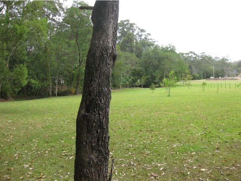 Tanawha QLD 4556