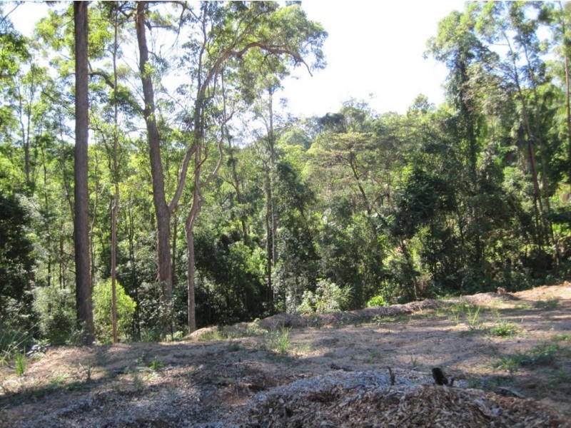 40 Martins Creek Road, Buderim QLD 4556