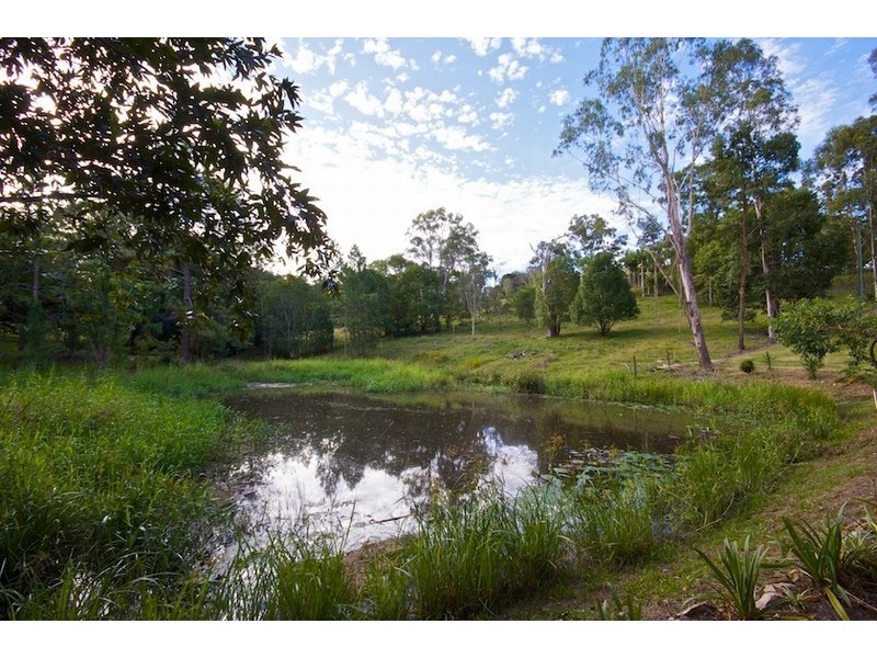 41 Crescent Road, Eumundi QLD 4562