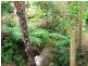 Nambour QLD 4560