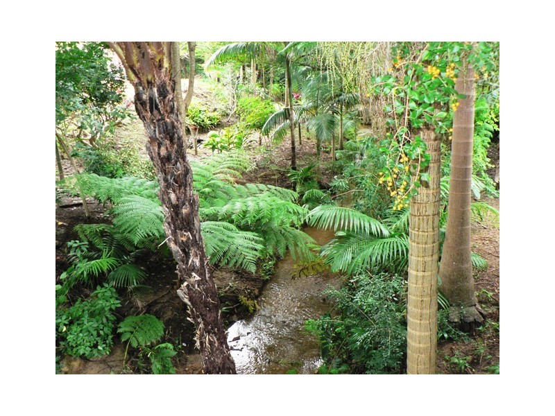Nambour QLD 4560