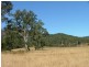 60-77 Oakey Creek Rd, Gheerulla QLD 4574