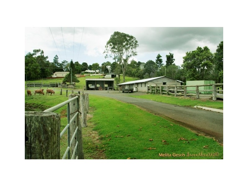 115 Burgum Road, Maleny QLD 4552