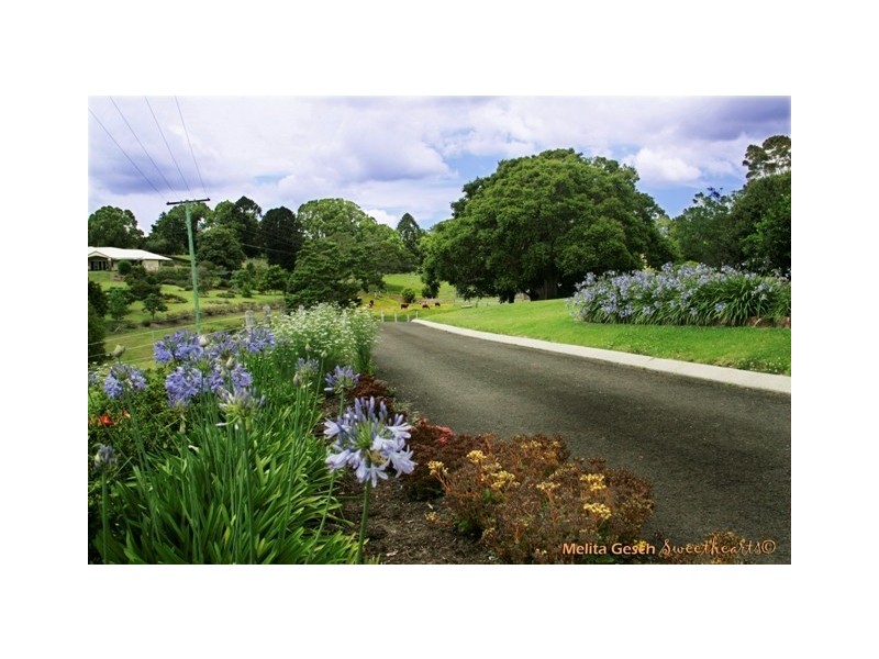 115 Burgum Road, Maleny QLD 4552