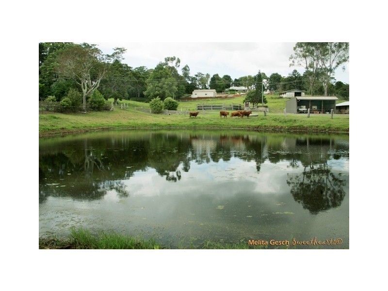 115 Burgum Road, Maleny QLD 4552