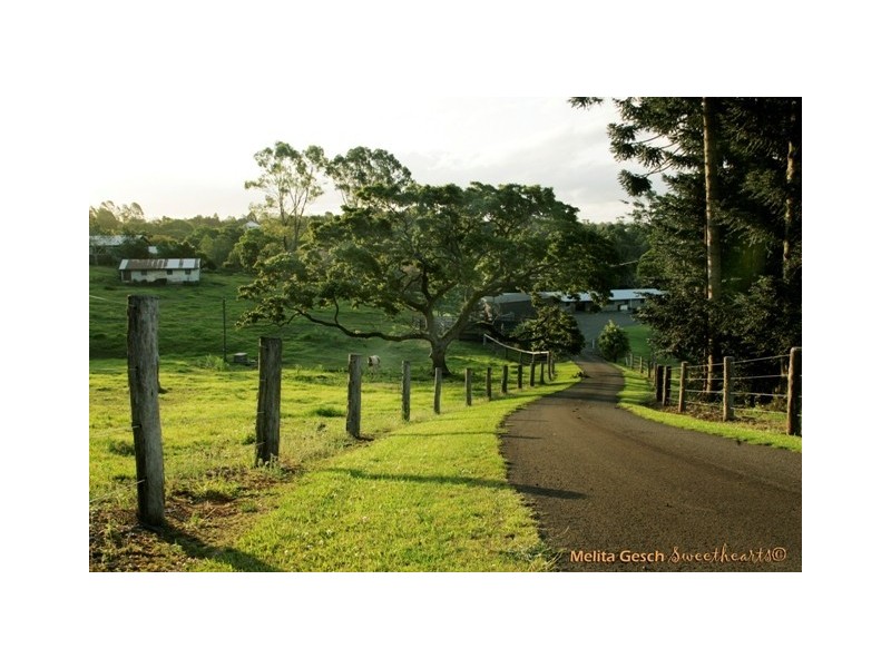 115 Burgum Road, Maleny QLD 4552