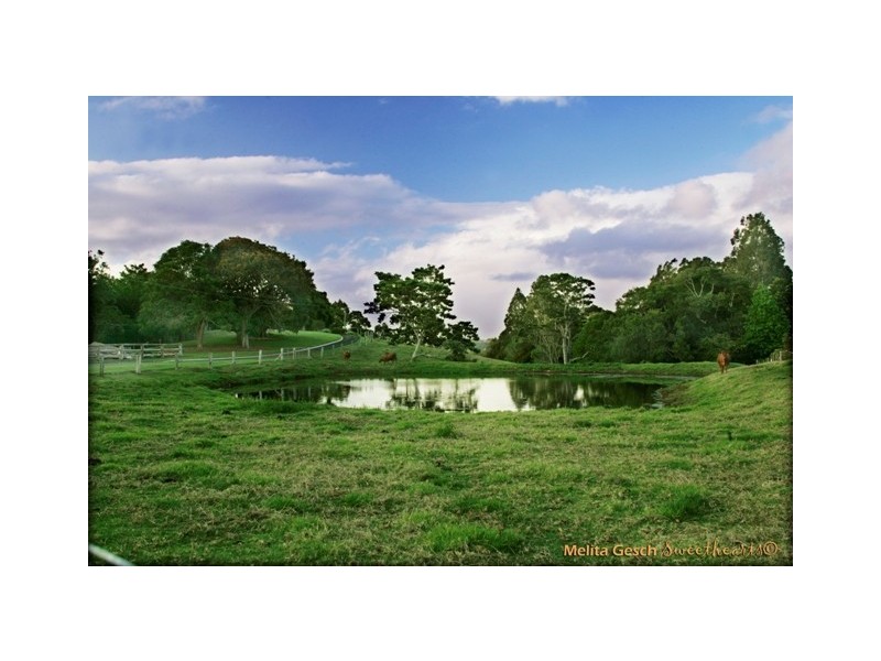 115 Burgum Road, Maleny QLD 4552