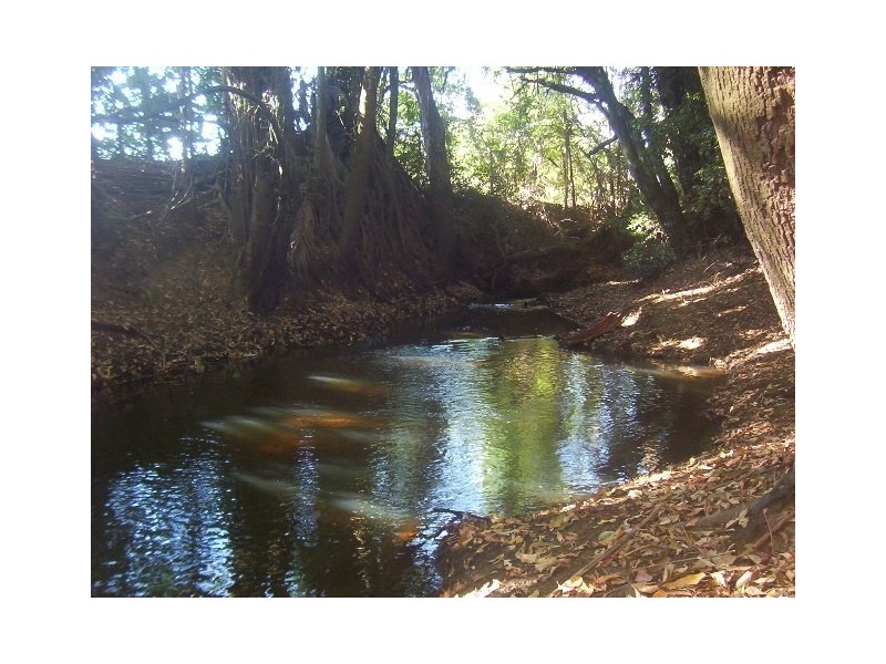 384 Paynters Creek Road, Nambour QLD 4560