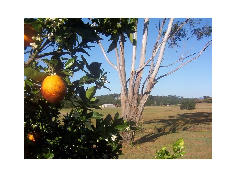 384 Paynters Creek Road, Nambour QLD 4560