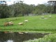 Lot 47 Hidden Valley Rd, Eumundi QLD 4562