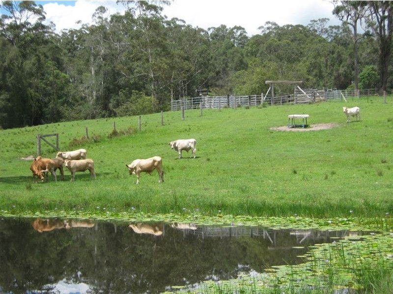 Lot 47 Hidden Valley Rd, Eumundi QLD 4562