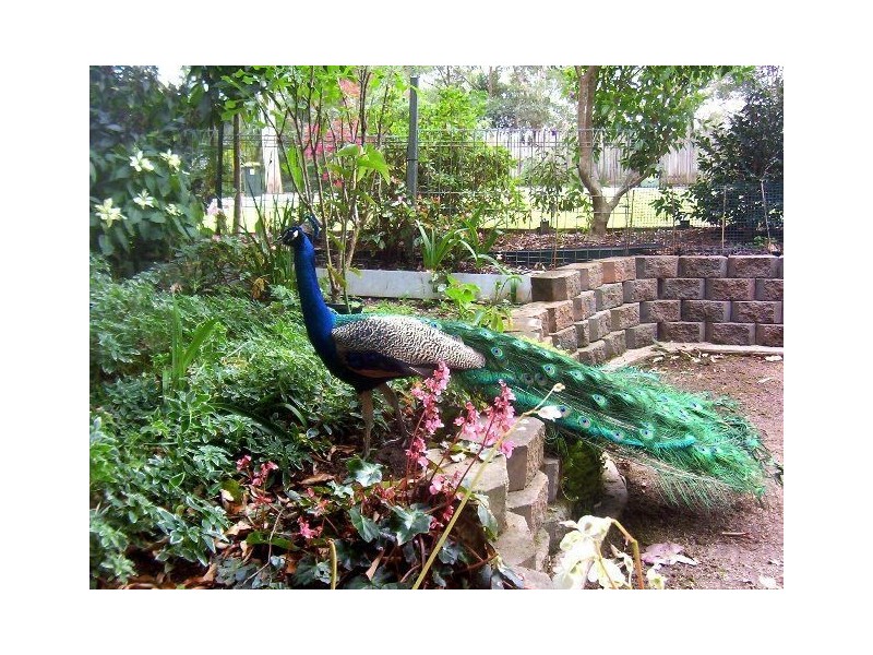 28 City View Terrace, Nambour QLD 4560