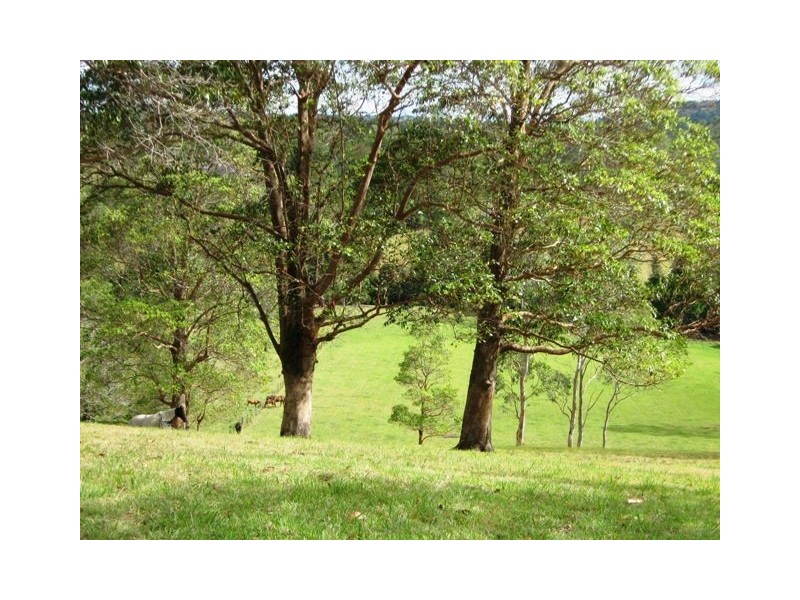 Lot 1/130-156 Thrushs Rd, Dulong QLD 4560