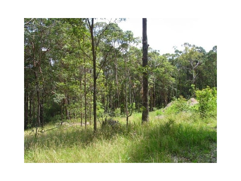 Lot 21/302 Ninderry Road, Yandina QLD 4561