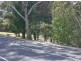 80 Panorama Drive, Nambour QLD 4560