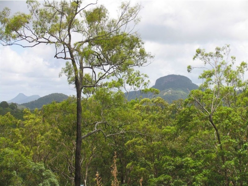 Lot 3 Skiel Court, Maroochy River QLD 4561