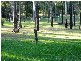 L3 on Rp 160563 Crowson Lane, Greenbank QLD 4124