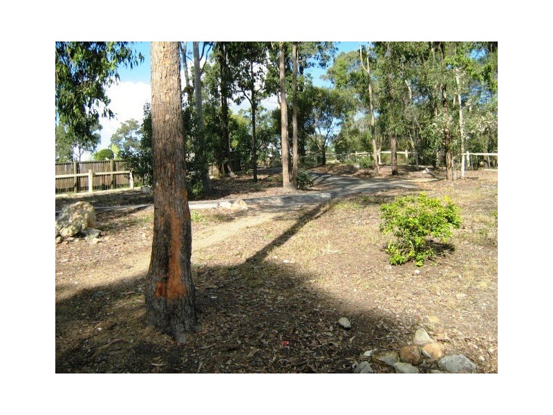 15 Wallaroo Court, Greenbank QLD 4124