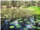 111 Olson Road, North Maclean QLD 4280