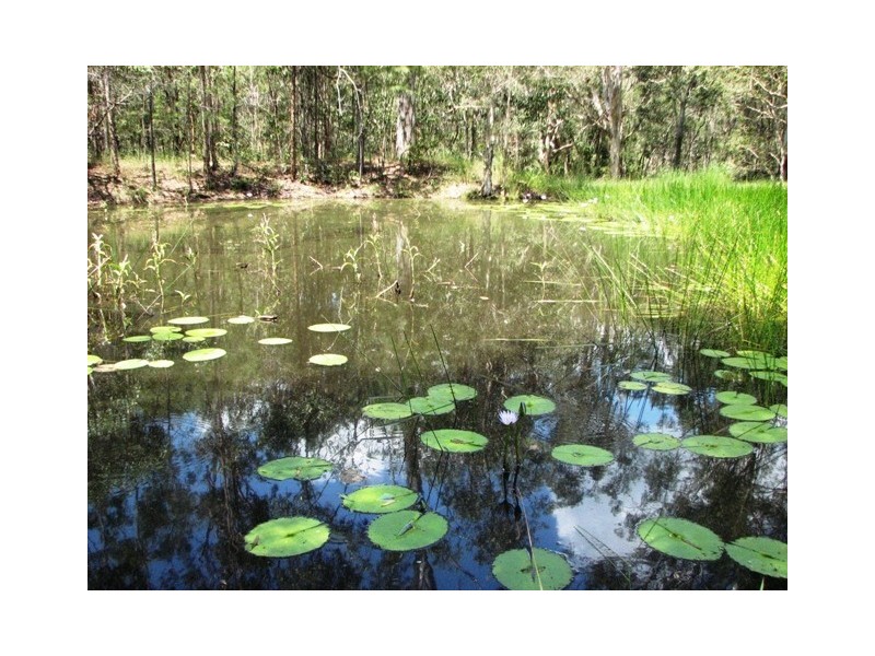 111 Olson Road, North Maclean QLD 4280