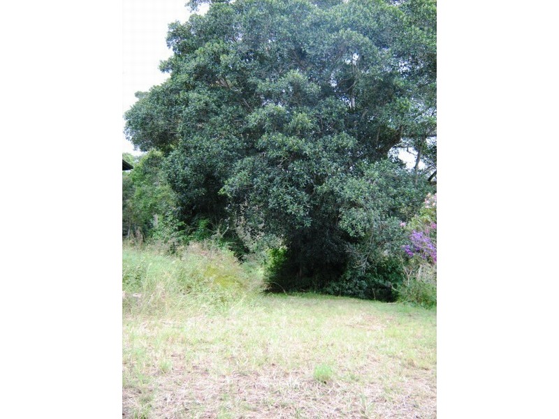 333 Booloumba Creek Road, Kenilworth QLD 4574