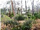 Greenbank QLD 4124