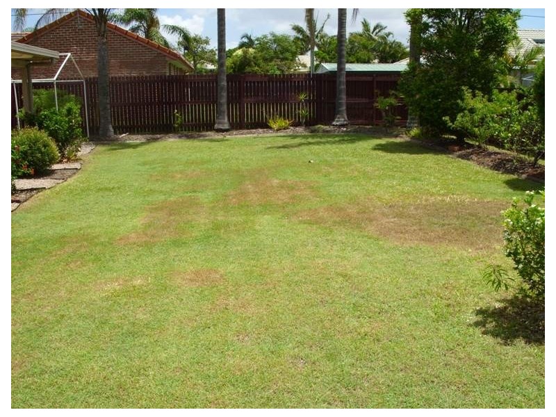 3 Alexandra Court, Deception Bay QLD 4508