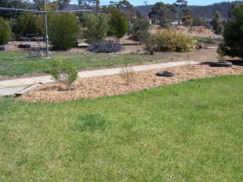 49 Henry Street, Triabunna TAS 7190