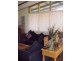 202 blessington street, South Arm TAS 7022