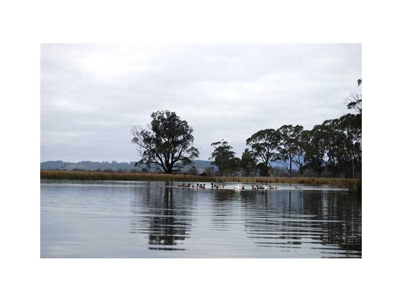2083 Mole Creek Road, Mole Creek TAS 7304