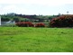 34 Grigg Street, Deloraine TAS 7304