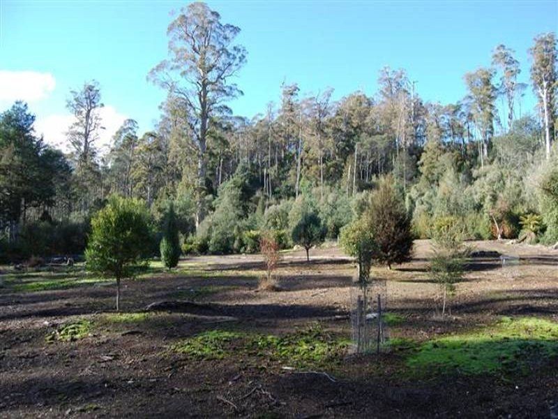 Golden Valley TAS 7304