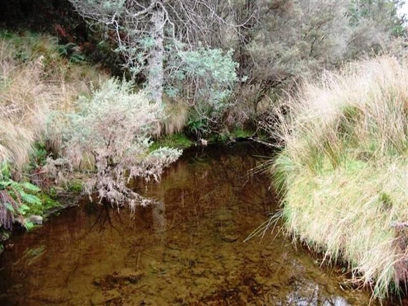 Jackeys Marsh TAS 7304