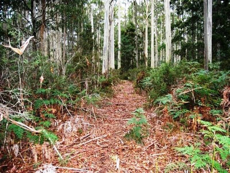 Jackeys Marsh TAS 7304