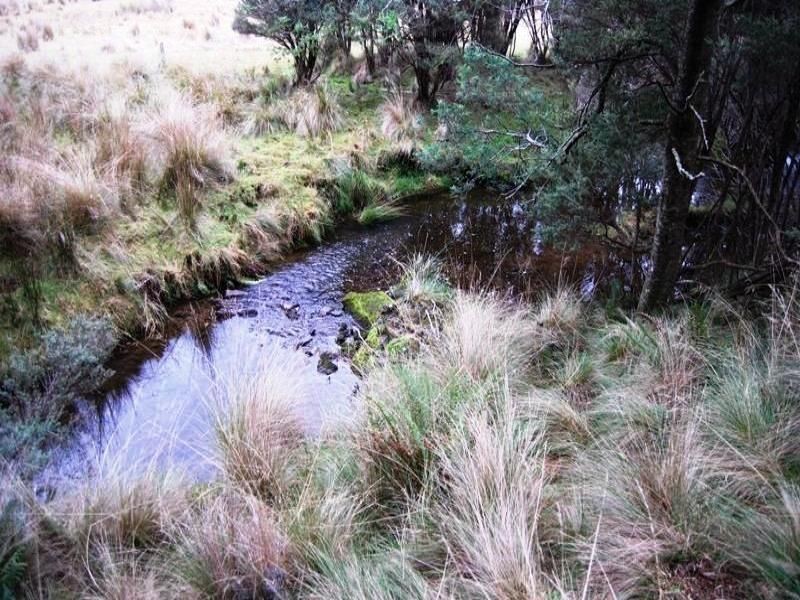 Jackeys Marsh TAS 7304