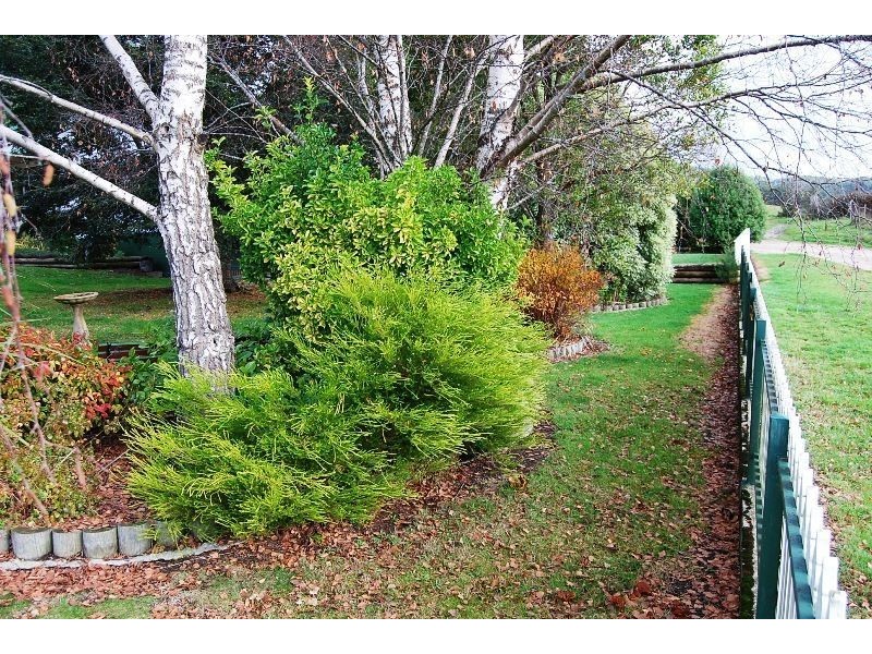 49 Howe C Road, Mole Creek TAS 7304