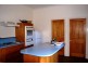 16 Beefeater Street, Deloraine TAS 7304