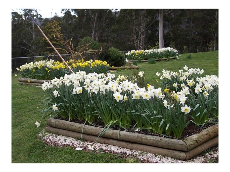 13076 Highland Lakes Road, Golden Valley TAS 7304
