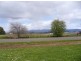 Hagley TAS 7292