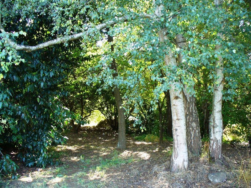 7 Bonney Street, Deloraine TAS 7304