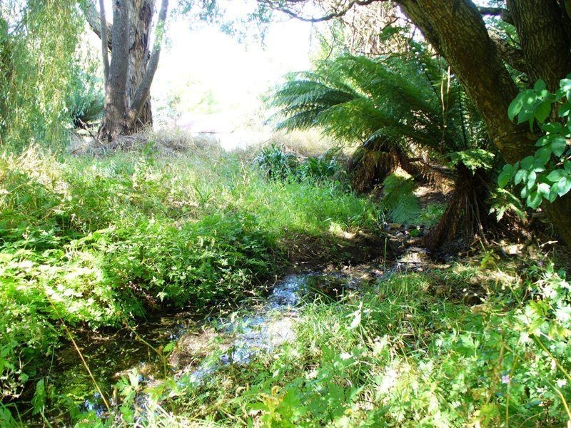 7 Bonney Street, Deloraine TAS 7304