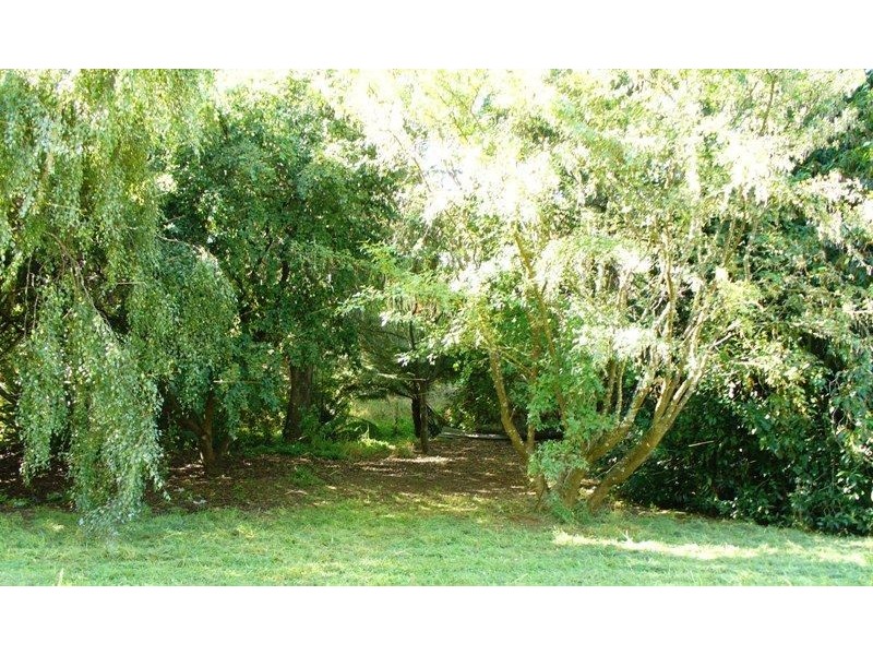 7 Bonney Street, Deloraine TAS 7304