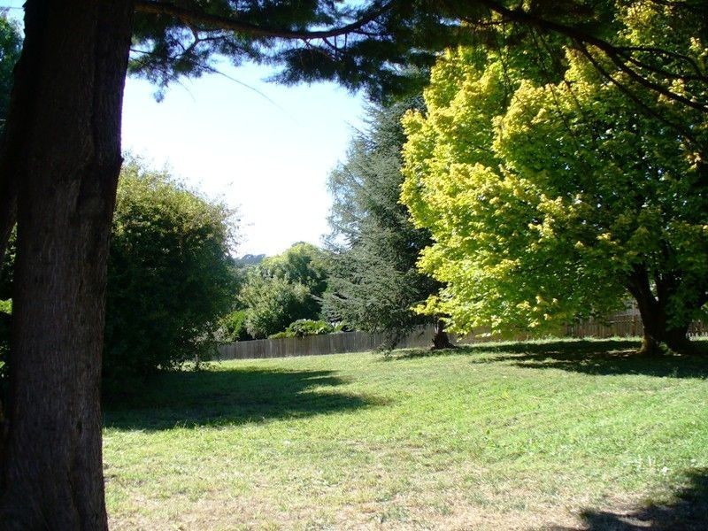 7 Bonney Street, Deloraine TAS 7304