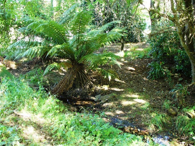 7 Bonney Street, Deloraine TAS 7304